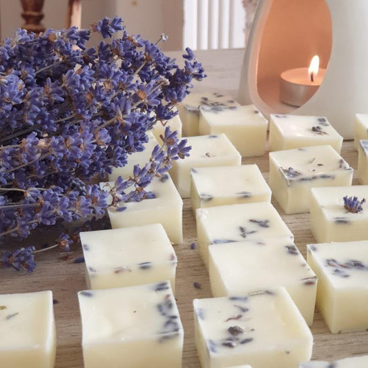 A bunch of lavender displayed with individual square wax metls, with wax burner in background.